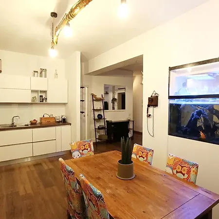 Rooftop Appia Antica,silenzioso Riservato Two Bedrooms Two Bathrooms Lägenhet *