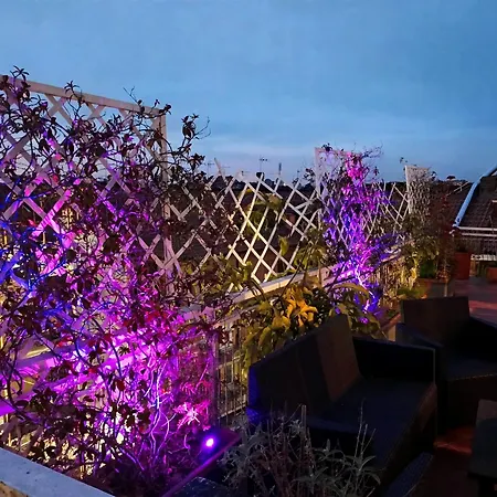 Rooftop Appia Antica,silenzioso Riservato Two Bedrooms Two Bathrooms Lägenhet